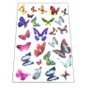 Butterflys Sheet