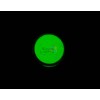 Green Phosphorescent Pigment
